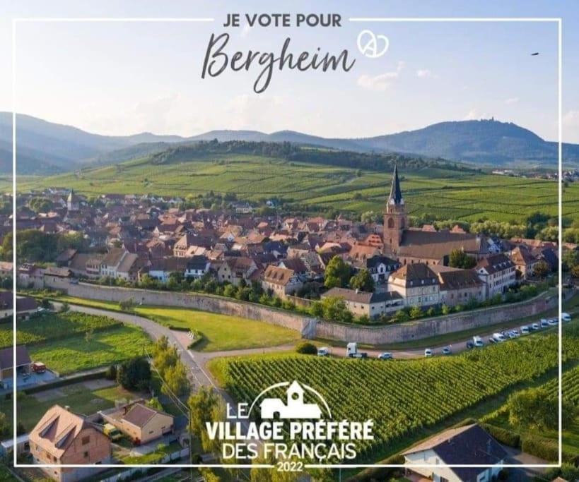 Gite Boniface Pour 2 Pers Bergheim Buitenkant foto