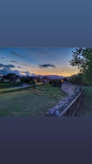 Gite Boniface Pour 2 Pers Bergheim Buitenkant foto
