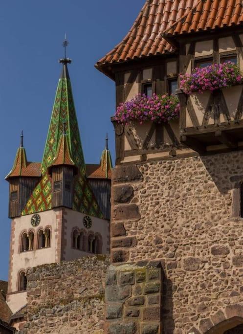 Gite Boniface Pour 2 Pers Bergheim Buitenkant foto